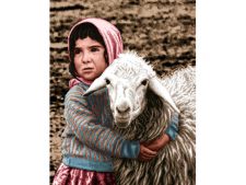 نخ و نقشه و مصالح آماده بافت تابلو فرش طرح دختر روستایی عشایر و گوسفند - کد 3262